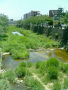 芦屋川＠開門橋