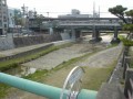 阪神芦屋駅